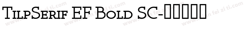 TilpSerif EF Bold SC字体转换